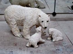 Famille ours